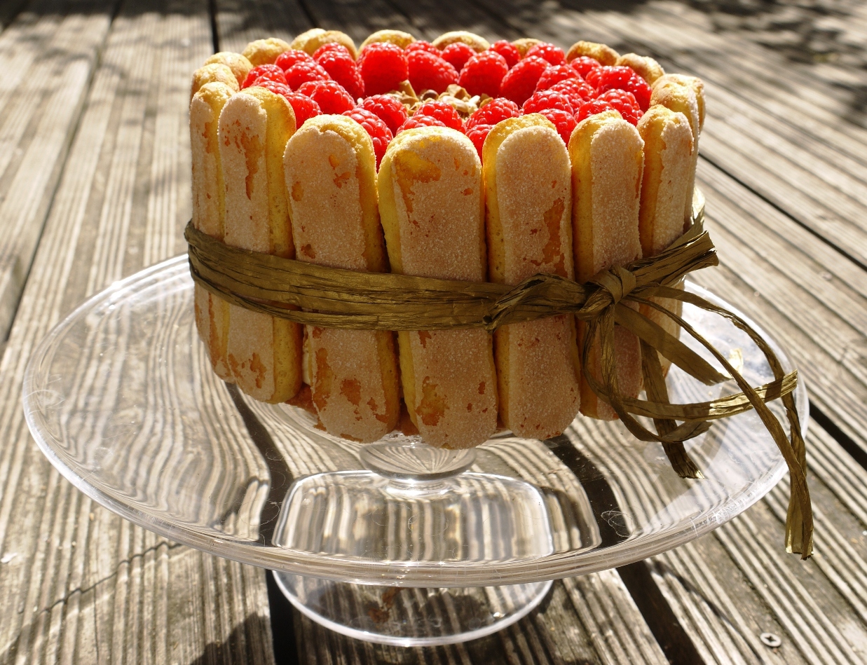 tiramisu Cake mumbai  Tiramisu cake