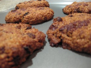 oaty_chocolate_walnut_raisin_cookie