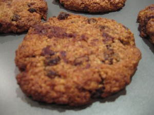 oatmeal_raisin_chocolate_chip_cookie